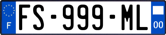 FS-999-ML