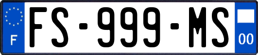 FS-999-MS