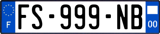 FS-999-NB