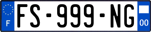 FS-999-NG