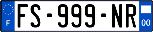 FS-999-NR