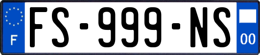 FS-999-NS