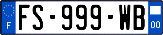 FS-999-WB