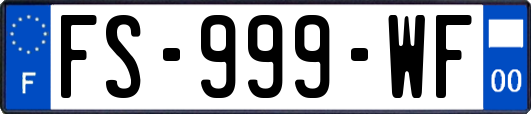 FS-999-WF