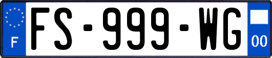 FS-999-WG