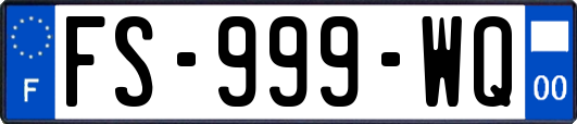 FS-999-WQ