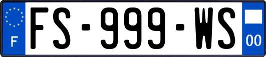 FS-999-WS