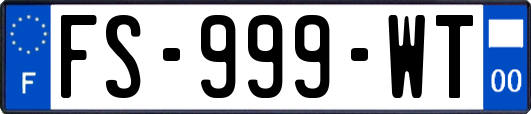 FS-999-WT