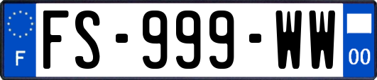 FS-999-WW