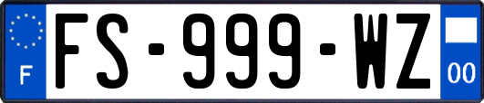 FS-999-WZ