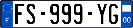 FS-999-YG