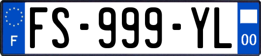 FS-999-YL