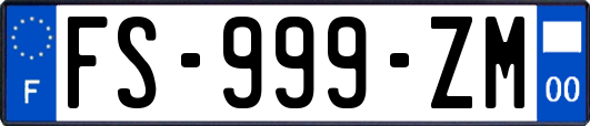 FS-999-ZM