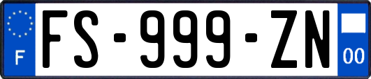 FS-999-ZN