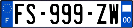 FS-999-ZW