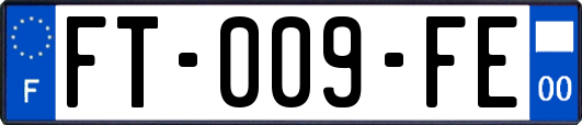 FT-009-FE