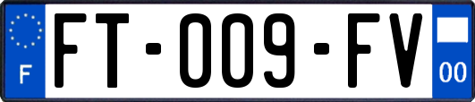 FT-009-FV