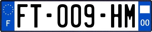 FT-009-HM