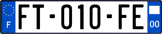 FT-010-FE