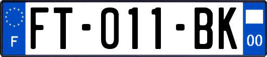 FT-011-BK