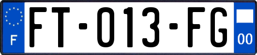 FT-013-FG