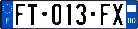 FT-013-FX