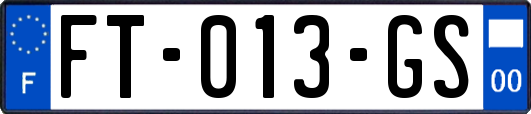 FT-013-GS