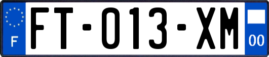 FT-013-XM