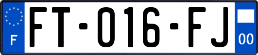 FT-016-FJ