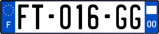 FT-016-GG