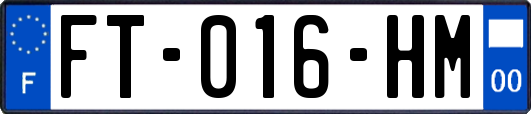 FT-016-HM