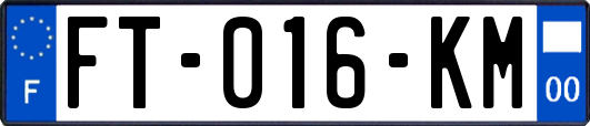 FT-016-KM