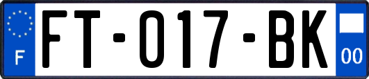 FT-017-BK