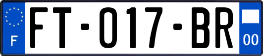 FT-017-BR