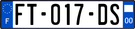 FT-017-DS