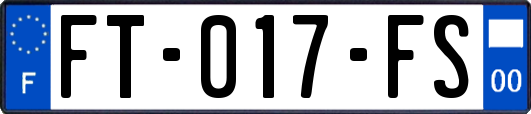 FT-017-FS