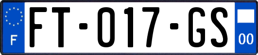 FT-017-GS
