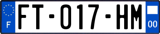FT-017-HM