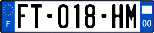FT-018-HM