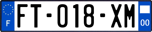 FT-018-XM