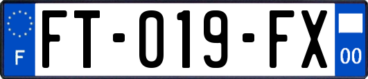 FT-019-FX