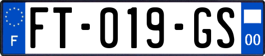 FT-019-GS