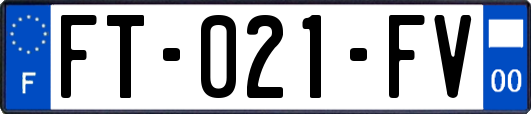 FT-021-FV