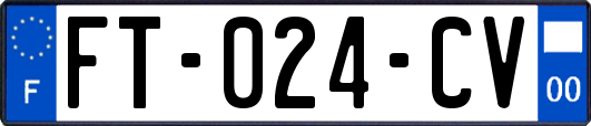 FT-024-CV