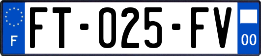 FT-025-FV