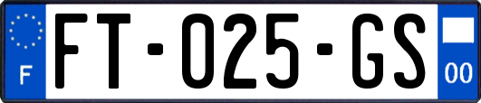 FT-025-GS