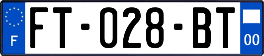 FT-028-BT