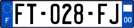 FT-028-FJ