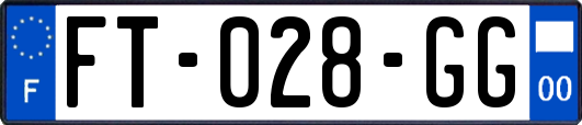 FT-028-GG