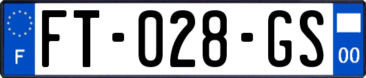 FT-028-GS